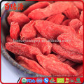 Bayas de goji certificadas goji berry fiyat goji berry con precio razonable